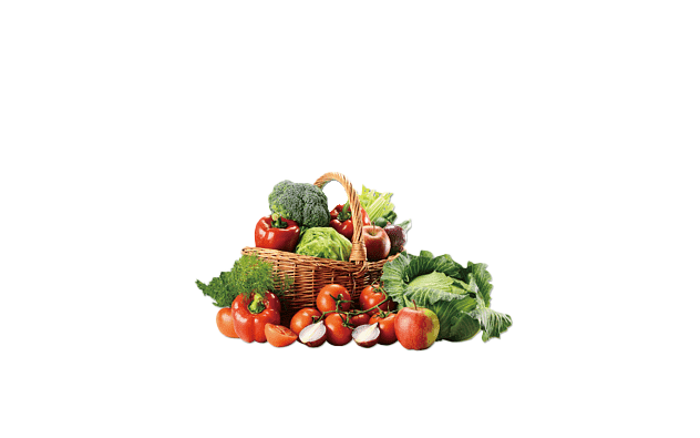 Import System Teajar Import System Teajar